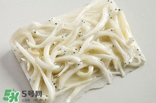 面條魚是什么魚？面條魚是海水魚嗎