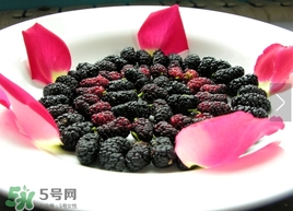 覆盆子是桑葚嗎？覆盆子和桑葚的區(qū)別