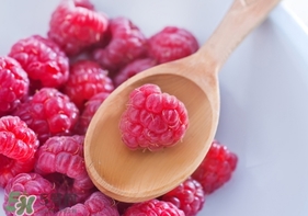 覆盆子是桑葚嗎？覆盆子和桑葚的區(qū)別