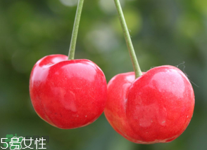 櫻桃籽有毒嗎？櫻桃籽能吃嗎？