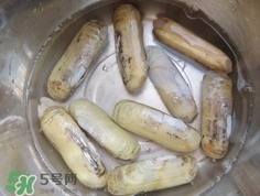 怎么樣讓蟶子吐沙？如何讓蟶子吐沙