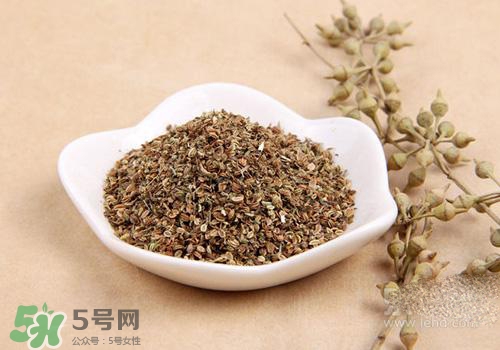 吃中藥可以吃魚？吃中藥吃魚會怎么樣？