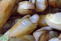 蟶子是海鮮嗎？蟶子是海鮮還是河鮮