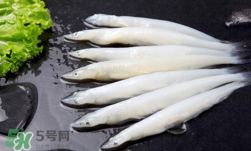 面條魚有刺嗎？面條魚有鱗嗎