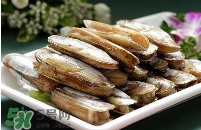 蟶子是海鮮嗎？蟶子是海鮮還是河鮮