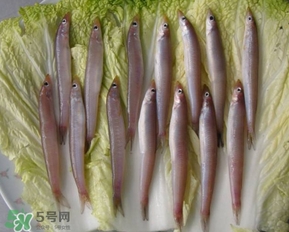 青島面條魚是什么魚？青島面條魚叫什么