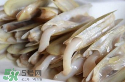 蟶子死了是什么樣子？死蟶子是什么樣子