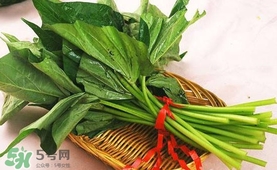 苕尖怎么炒？苕尖的做法