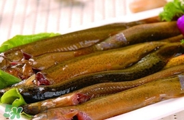 泥鰍有寄生蟲(chóng)嗎？泥鰍有沒(méi)有寄生蟲(chóng)