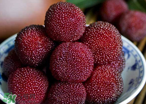 楊梅為什么有蟲子？楊梅有蟲能吃嗎？