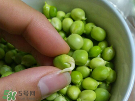 新鮮豌豆發(fā)芽了能吃嗎？豌豆發(fā)芽了還能吃嗎？
