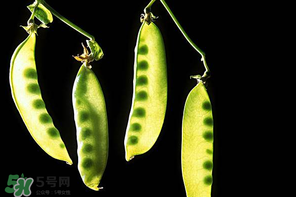 嫩豌豆能生吃嗎？為什么嫩豌豆可以生吃？