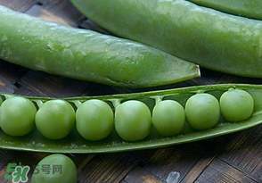 剝好的豌豆怎么保存？剝好的豌豆米怎么保存？