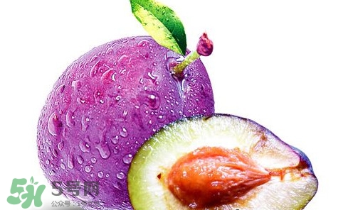 新鮮烏梅能直接吃嗎？新鮮烏梅能不能直接吃