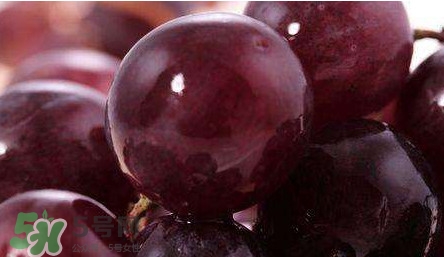 新鮮烏梅跟葡萄的區(qū)別 新鮮烏梅圖片 新鮮烏梅跟葡萄的區(qū)別 新鮮烏梅圖片