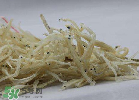 面條魚有什么營養(yǎng)？面條魚營養(yǎng)價值