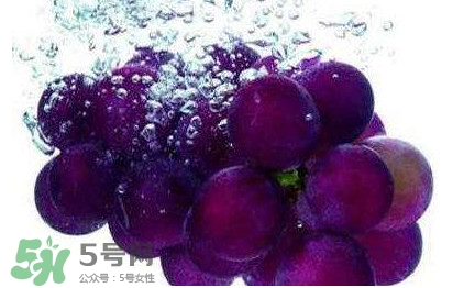 新鮮烏梅跟葡萄的區(qū)別 新鮮烏梅圖片 新鮮烏梅跟葡萄的區(qū)別 新鮮烏梅圖片