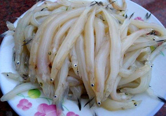 面條魚(yú)如何保存？面條魚(yú)怎么保存