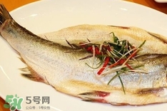 白條魚怎么做好吃？白條魚怎么吃好吃