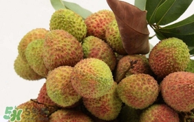 妃子笑什么時(shí)候上市？妃子笑什么時(shí)候成熟