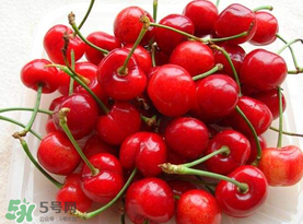 剛摘的櫻桃怎么保存？剛摘的櫻桃可以放多久？