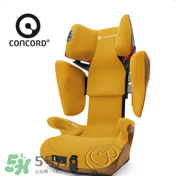 concord中文是什么？concord的中文名字怎么翻譯？