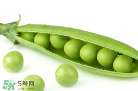 生豌豆有毒嗎？豌豆生吃有毒嗎？