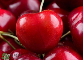 新鮮櫻桃如何保存？新鮮櫻桃能放多久？