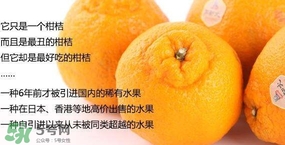 丑八怪是轉(zhuǎn)基因水果嗎？丑八怪是不是轉(zhuǎn)基因