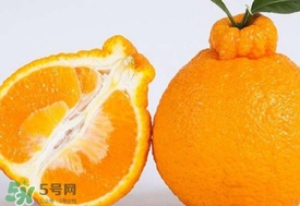 丑八怪水果多少錢一斤？不知火雜柑一斤多少錢