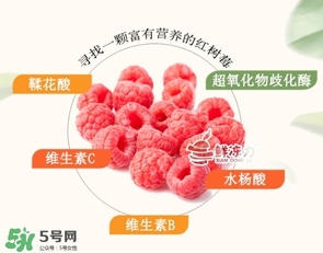 樹莓可以生吃嗎？樹莓怎么吃？