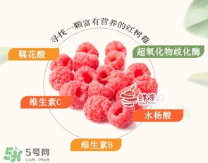 樹莓怎么保存？樹莓保存方法