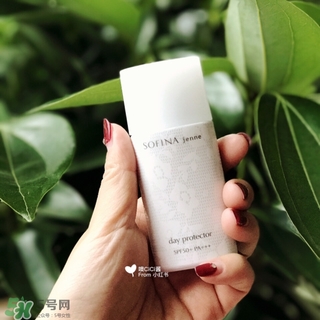 蘇菲娜白蕾絲多少錢？蘇菲娜白蕾絲日本價(jià)格