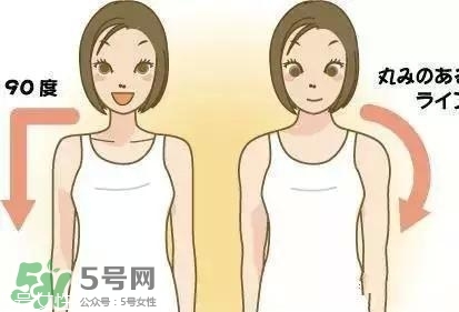 天鵝臂是什么？天鵝臂有用嗎