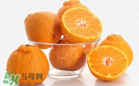 丑八怪是橙子嗎？丑八怪是不是橙子