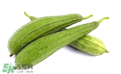 孕婦能吃絲瓜嗎？孕婦能不能吃絲瓜