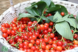 櫻桃不洗能吃嗎？沒(méi)洗的櫻桃可以吃嗎