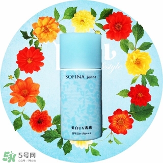 蘇菲娜藍(lán)蕾絲和藍(lán)小花哪個好？蘇菲娜藍(lán)蕾絲和藍(lán)小花對比