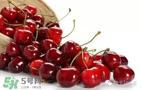 櫻桃和櫻珠的區(qū)別 櫻桃和櫻珠哪個大 櫻桃和櫻珠的區(qū)別 櫻桃和櫻珠哪個大