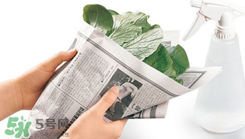 夏天蔬菜怎么保鮮？夏天蔬菜如何保鮮