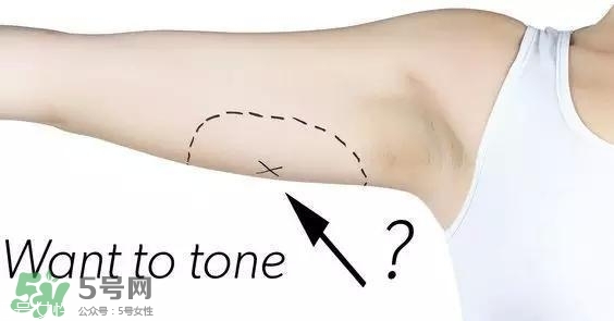 天鵝臂是什么？天鵝臂有用嗎