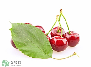 櫻桃和櫻珠的區(qū)別 櫻桃和櫻珠哪個大 櫻桃和櫻珠的區(qū)別 櫻桃和櫻珠哪個大