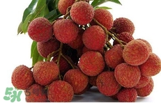 荔枝什么時候上市？荔枝什么時候成熟