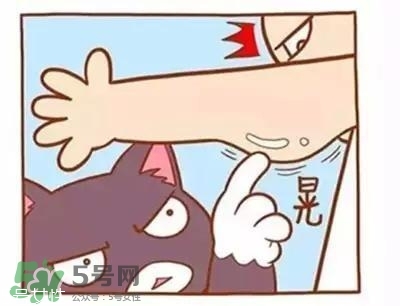 天鵝臂是什么？天鵝臂有用嗎