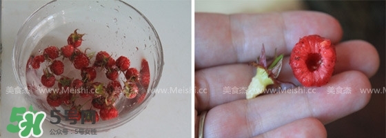 樹莓可以生吃嗎？樹莓怎么吃？