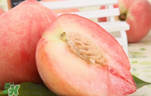 水蜜桃什么時(shí)候上市？水蜜桃什么時(shí)候有