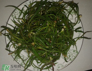 陽(yáng)溝菜孕婦可以吃嗎？孕婦能吃陽(yáng)溝菜嗎？