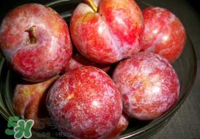 三華李孕婦可以吃嗎？三華李孕婦能吃嗎