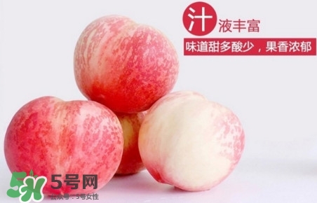 水蜜桃什么時候熟？水蜜桃成熟時間