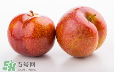 三華李什么時(shí)候有？三華李是幾月份上市